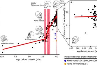 Scientist proposes merging Australopithecus into human genus Homo