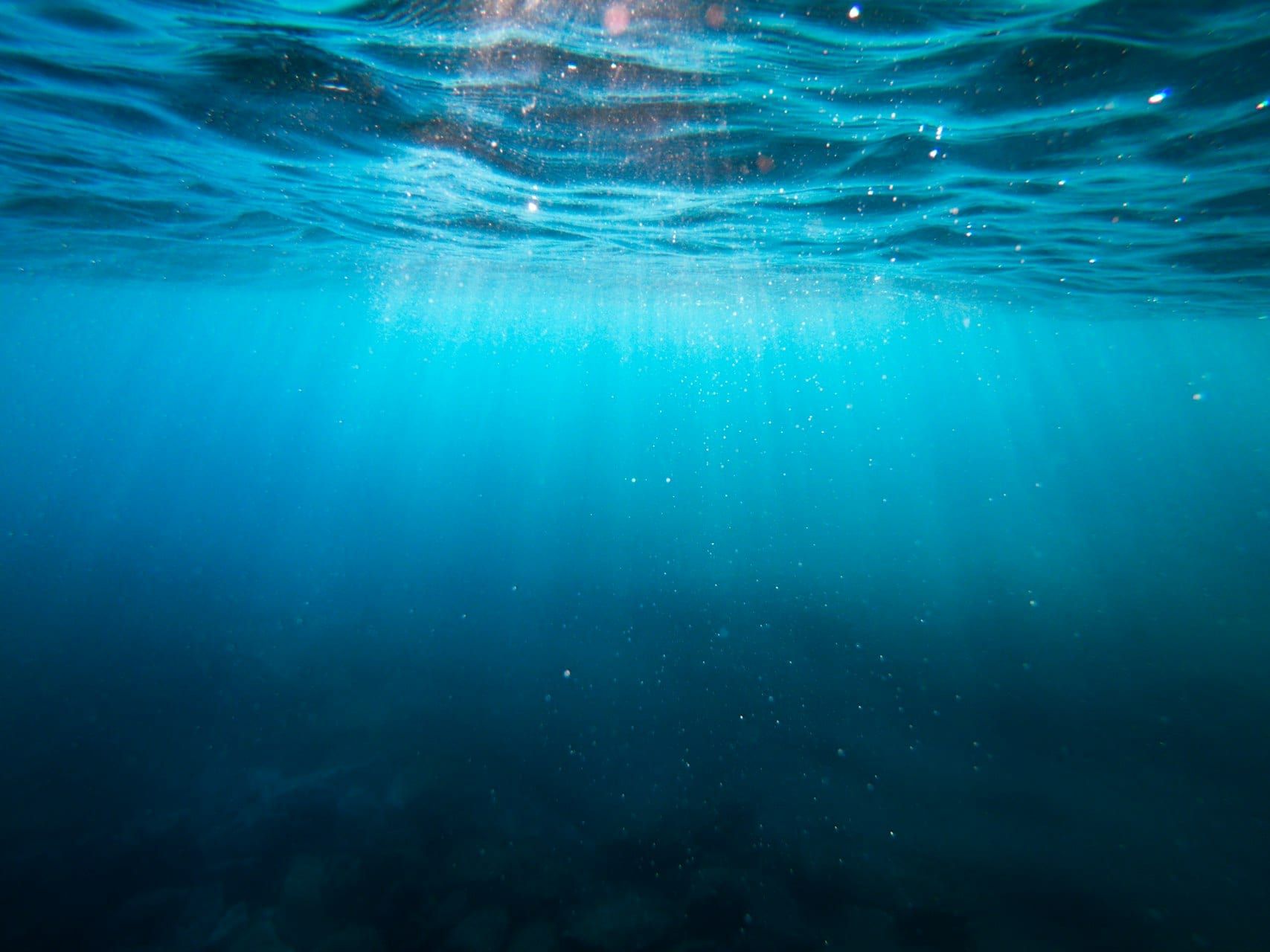 Study finds evidence life on Earth may have arisen twice