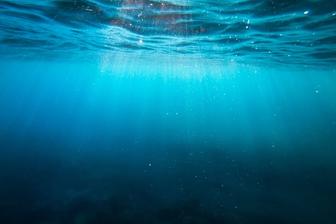 Study finds evidence life on Earth may have arisen twice