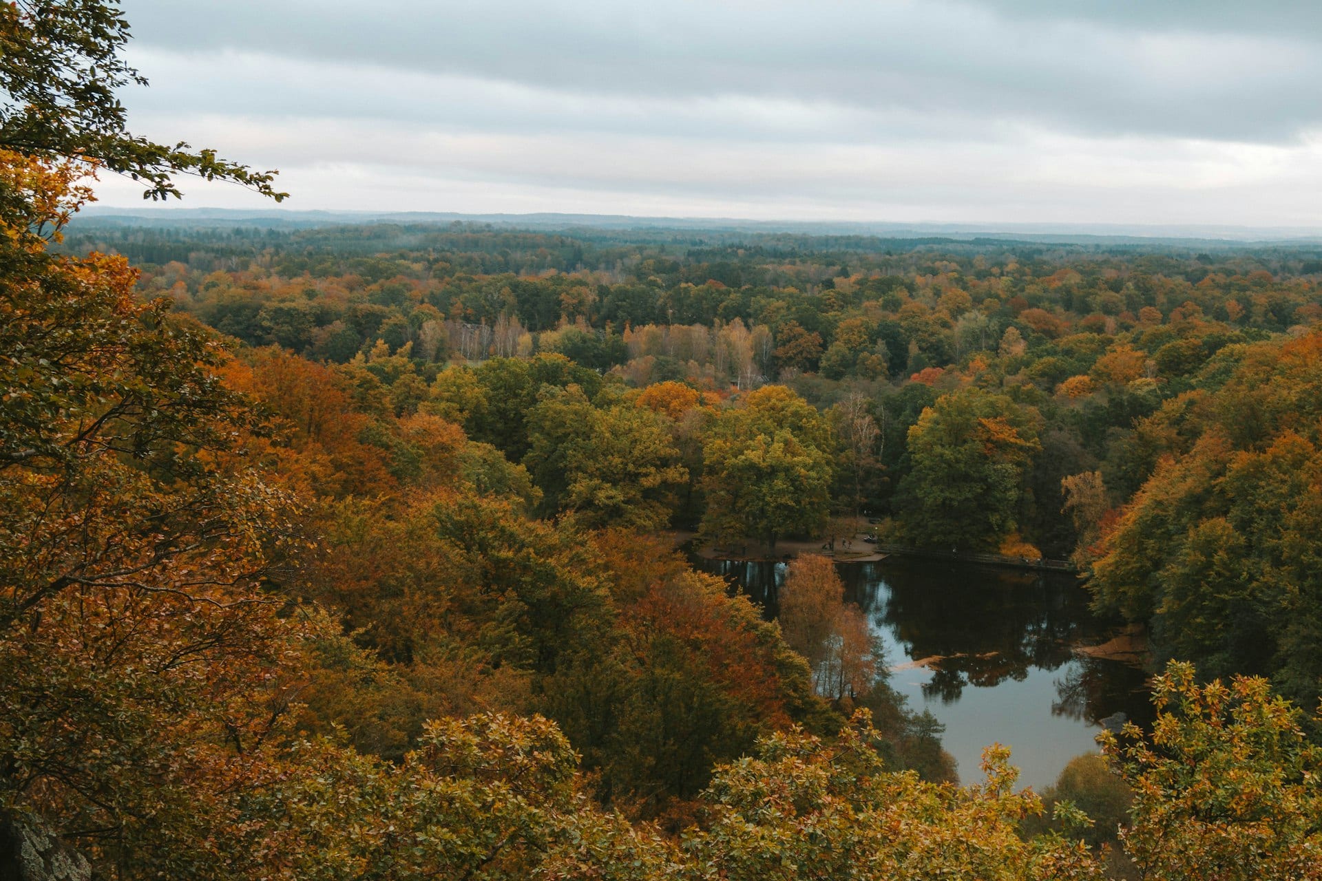 Southern Sweden's Söderåsen shows a logged forest can heal