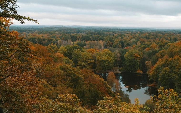 Southern Sweden's Söderåsen shows a logged forest can heal