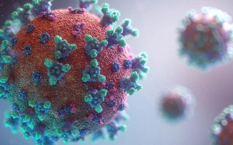 Bacteria found to convert dissolved uranium into stable compound