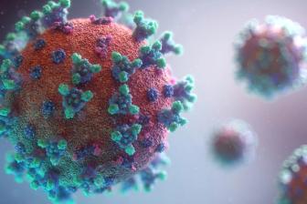 Bacteria found to convert dissolved uranium into stable compound