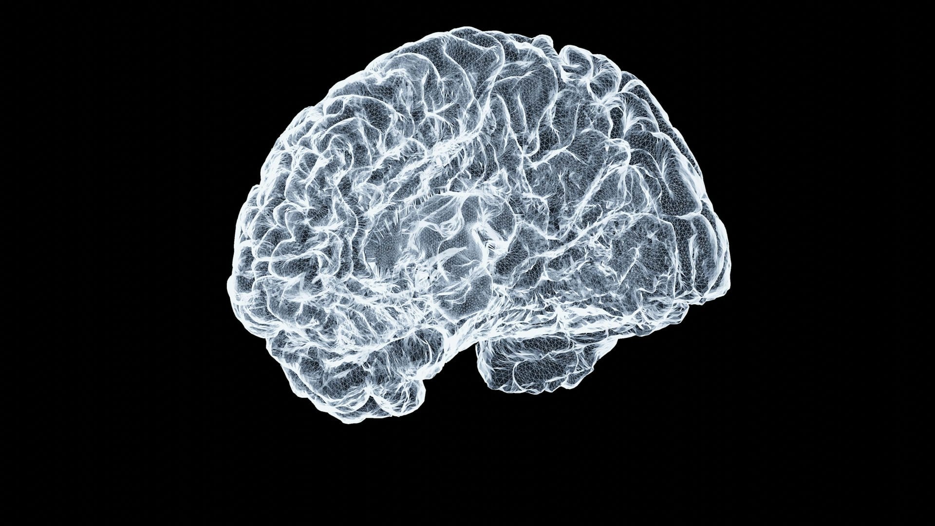New Study Probes Why Brain Tumours Resist Experimental Virus Therapy