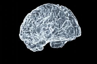 New Study Probes Why Brain Tumours Resist Experimental Virus Therapy