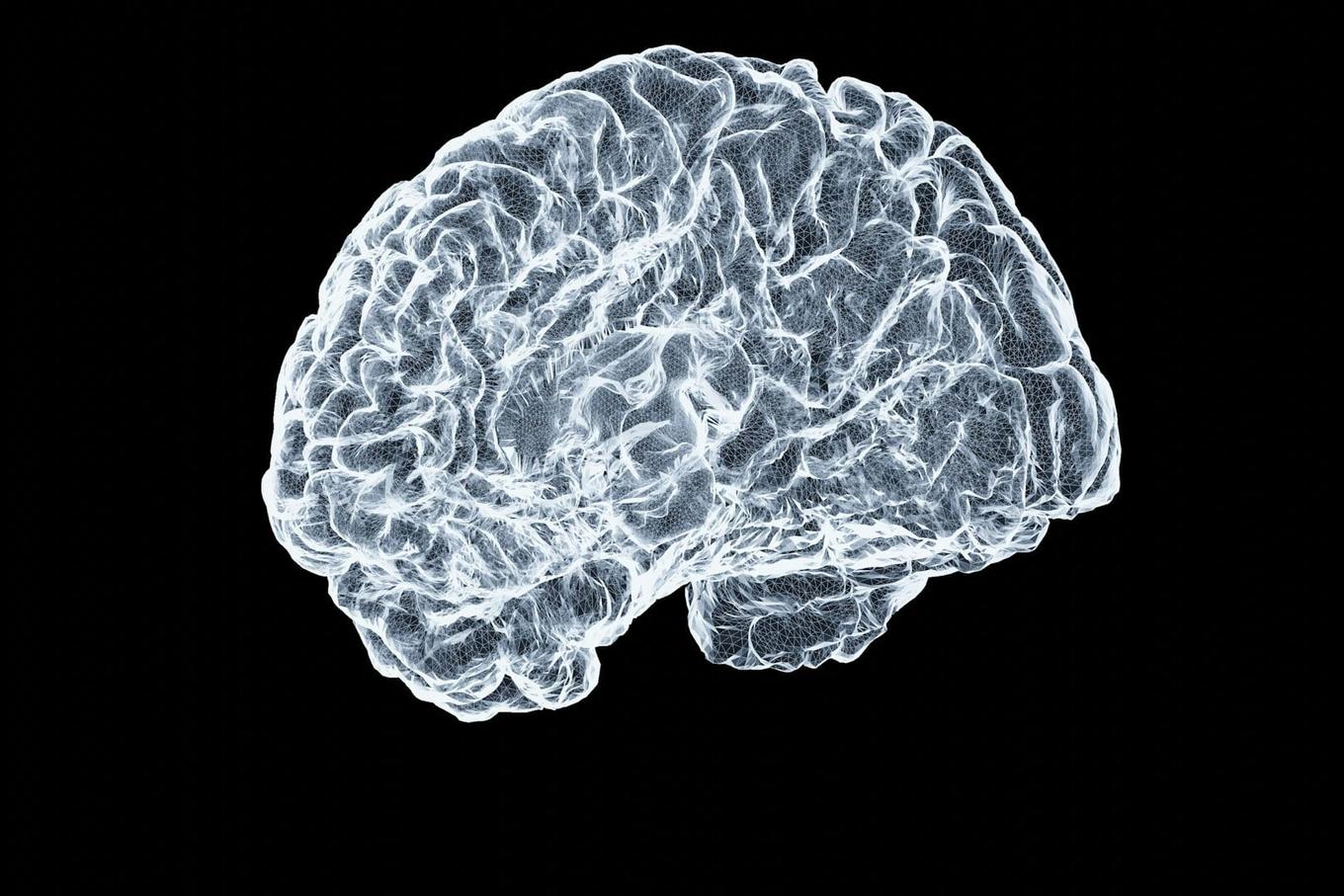 New Study Probes Why Brain Tumours Resist Experimental Virus Therapy