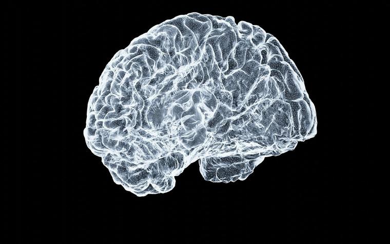 New Study Probes Why Brain Tumours Resist Experimental Virus Therapy