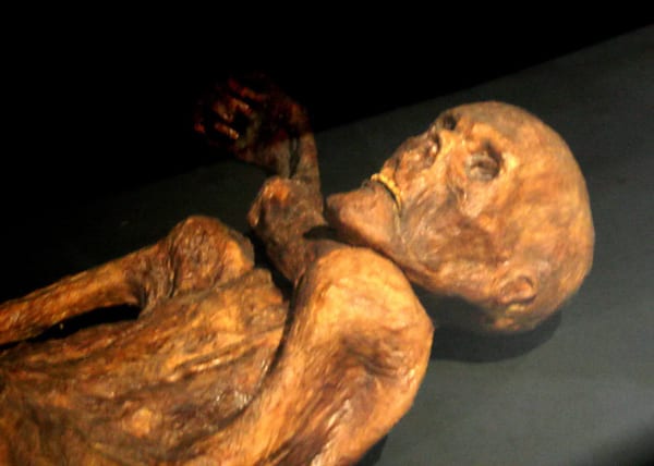 Ötzi the Iceman still hosts ancient gut bacteria and cold-loving yeasts