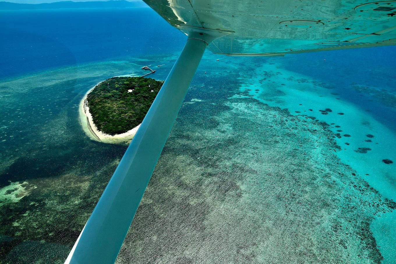 Great Barrier Reef viser tegn på bedring efter koldere monsun