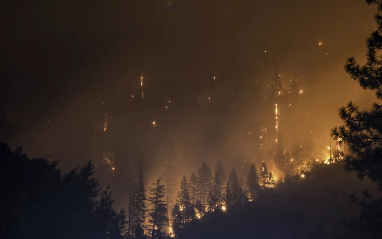 Forrest fire