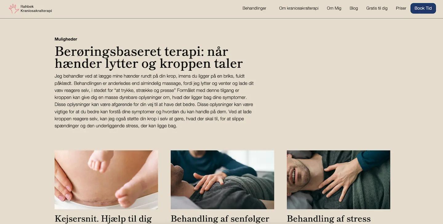 Screenshot fra hjemmeside