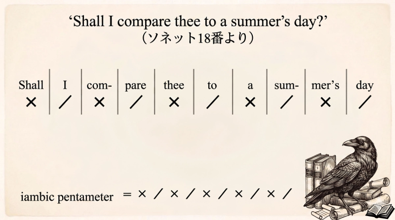 弱強5歩格まとめ図。