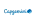 Capgemini