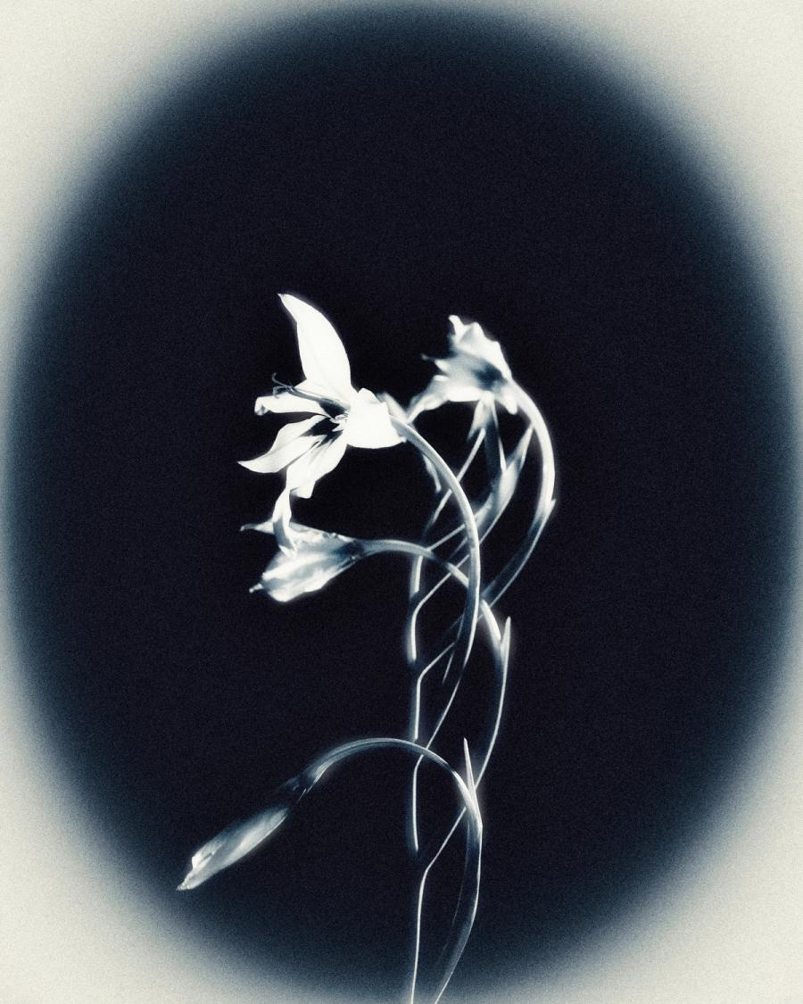 Gestation, photographie 1