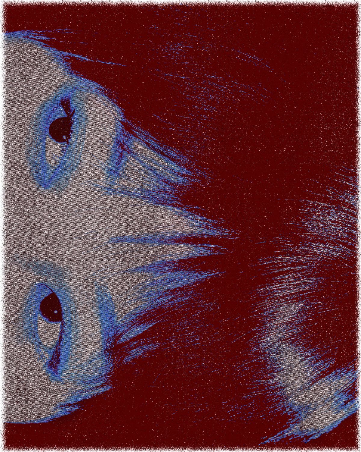 blueberry