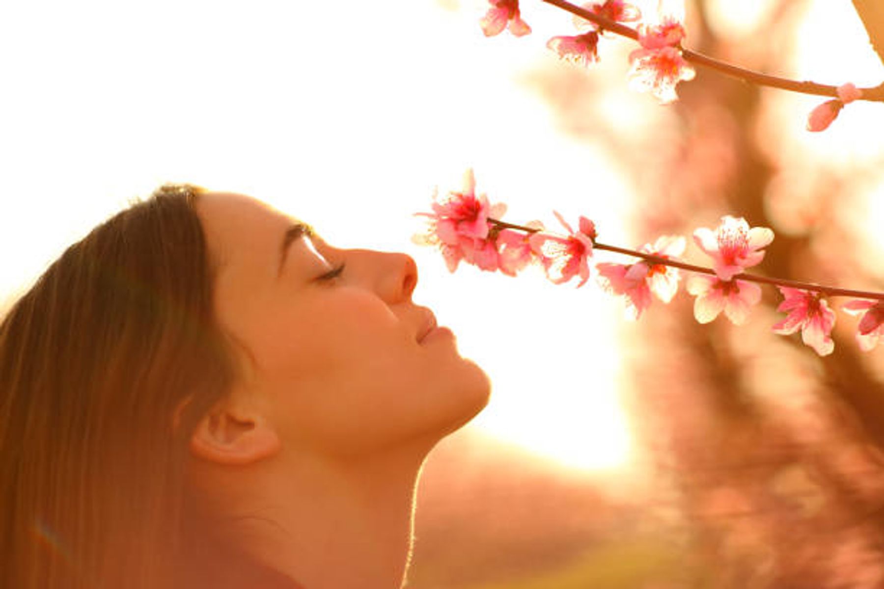Oxygen Bar – Breathe Your Way to Better Health Now Available at All Three Ideal Body Clinic Locations: Monkland • Sherbrooke • Châteauguay