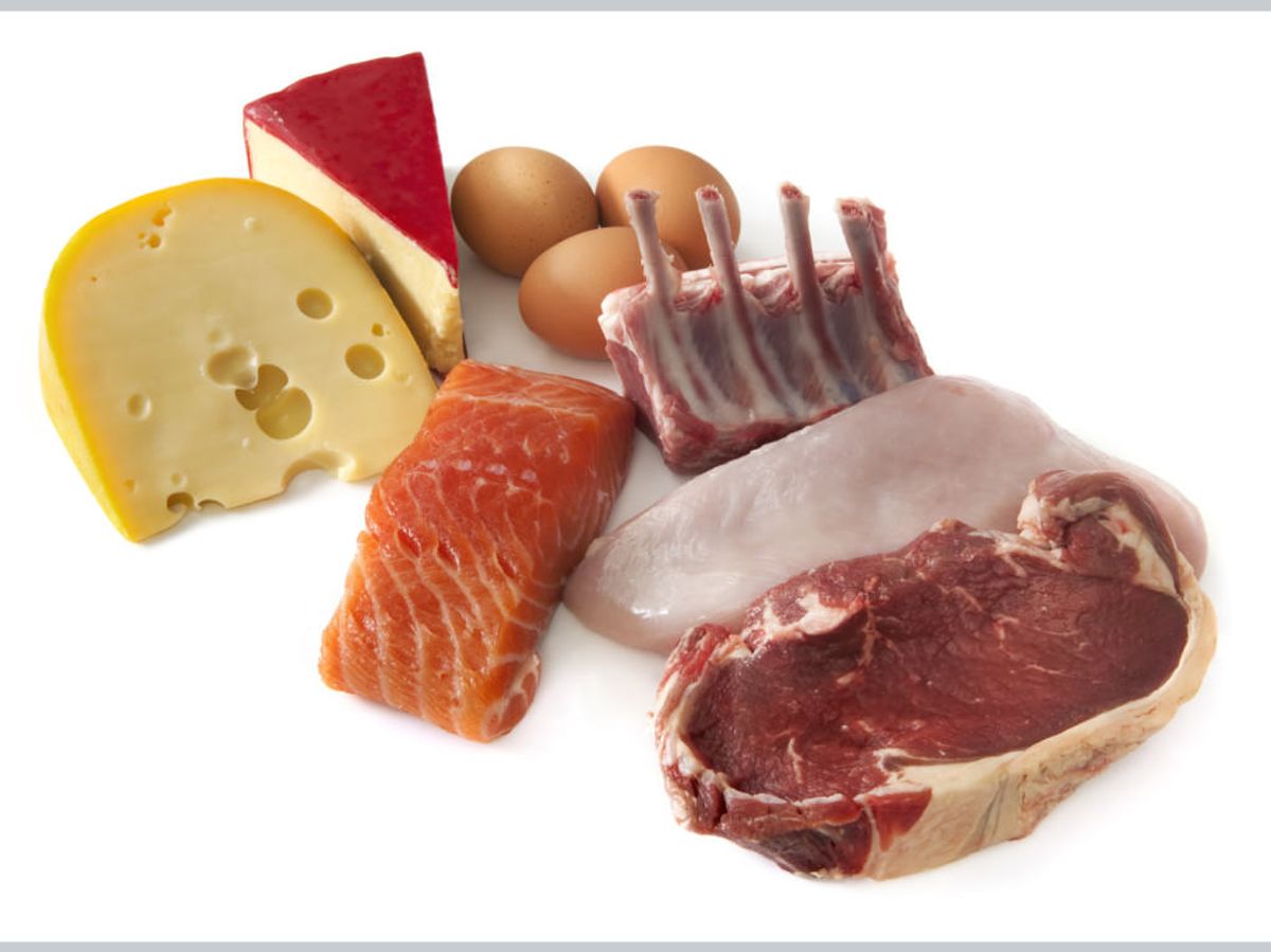 WL Protein diet
