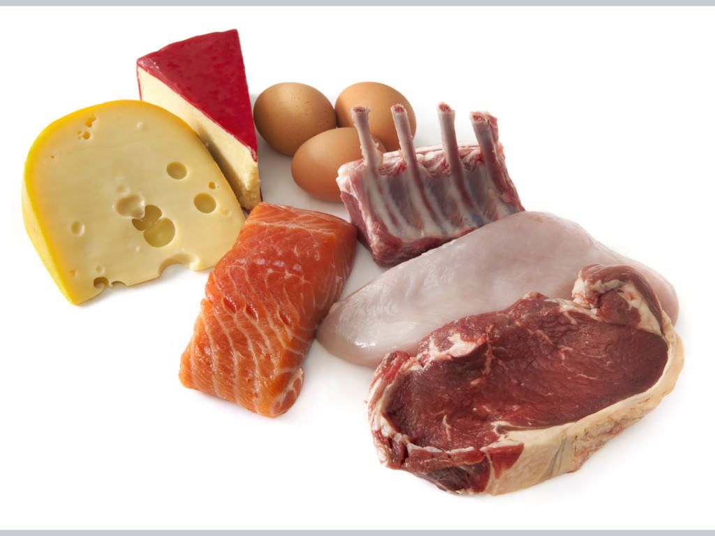 WL Protein diet