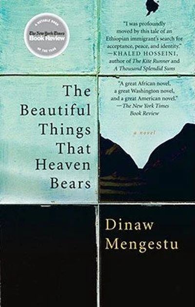 The Beautiful Things That Heaven Bears cover