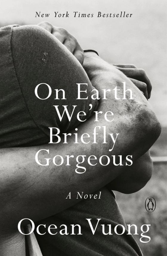 On Earth We’re Briefly Gorgeous cover