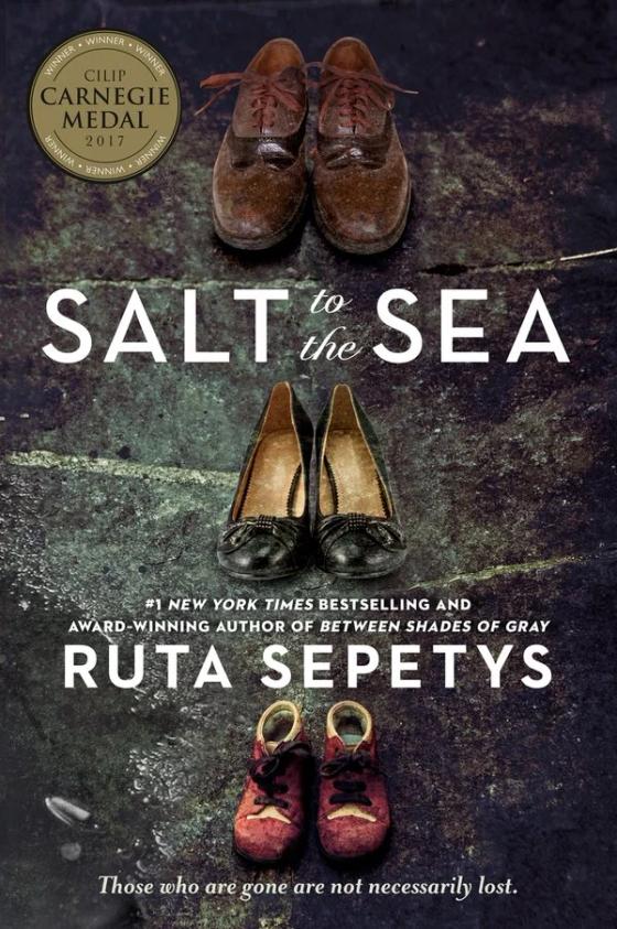 Salt to the Sea cover