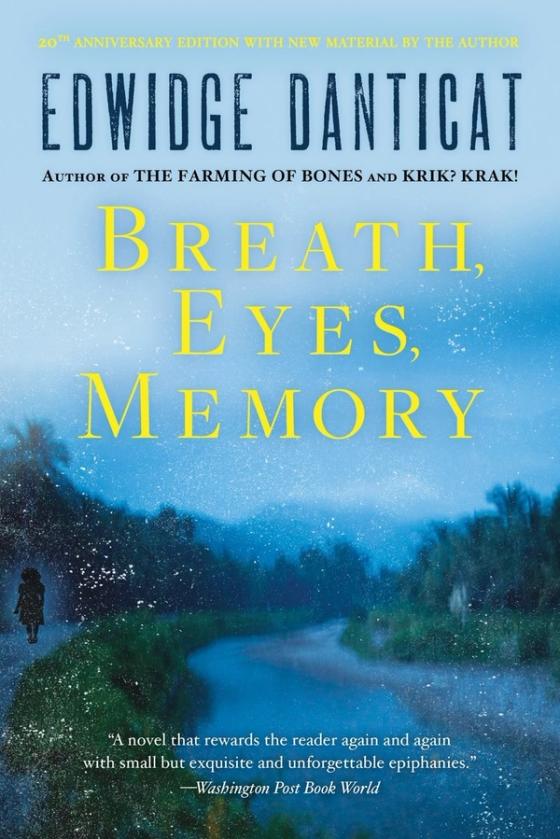 Breath Eyes Memory cover