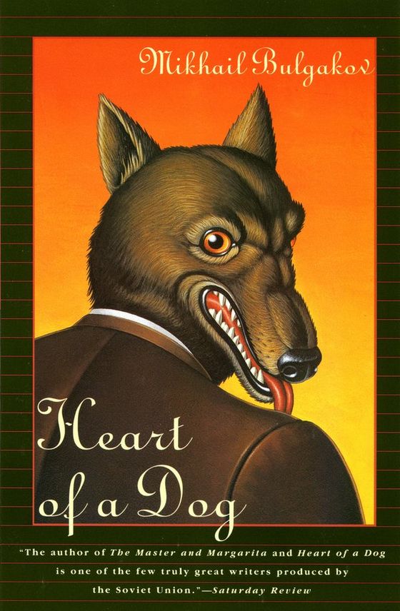 Heart of a Dog cover