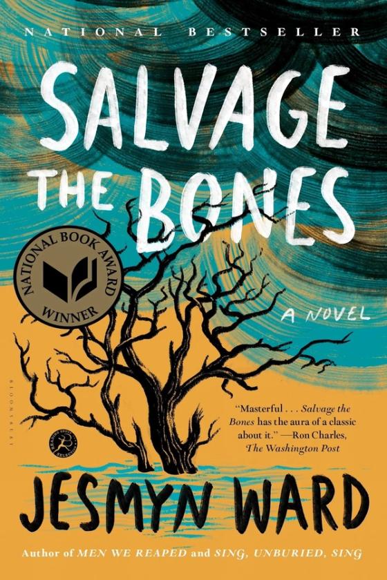 Salvage the Bones cover