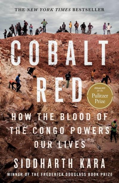 Cobalt Red: How the Blood of the Congo Powers Our Lives cover