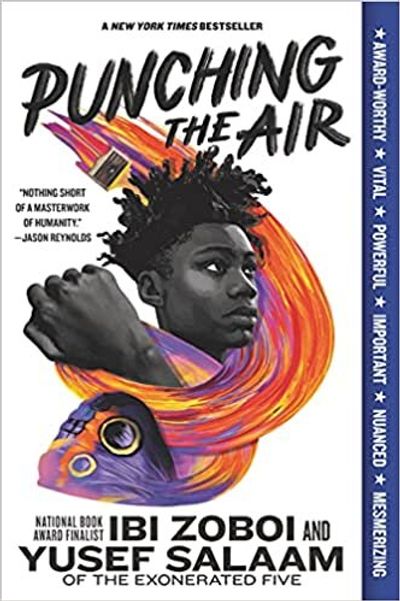 Punching the Air cover