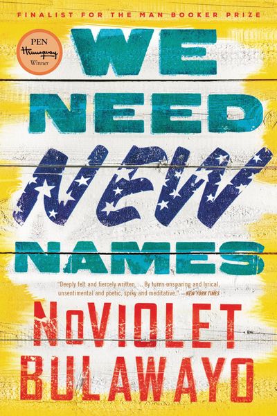 We Need New Names cover