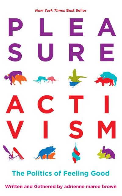 Pleasure Activism: The Politics of Feeling Good cover