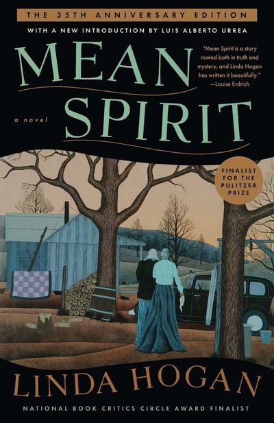 Mean Spirit cover