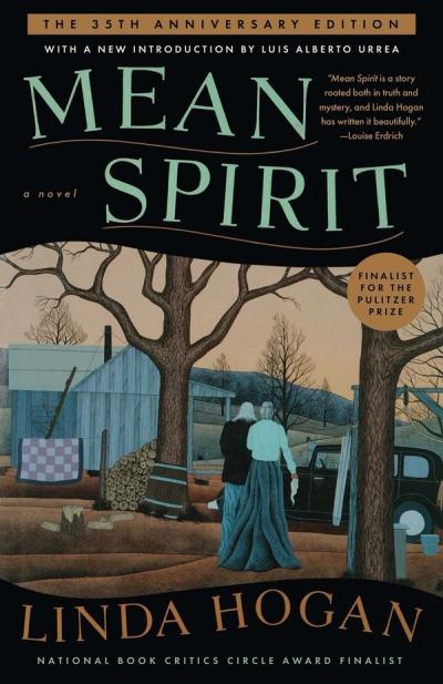 Mean Spirit cover
