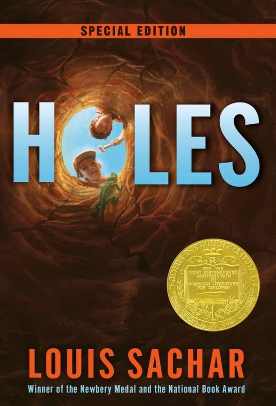 Holes cover