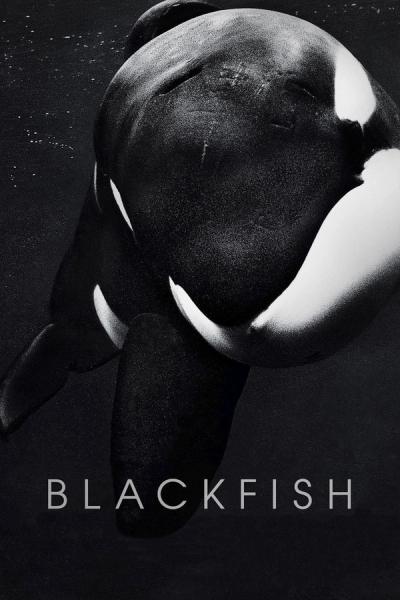 Blackfish poster