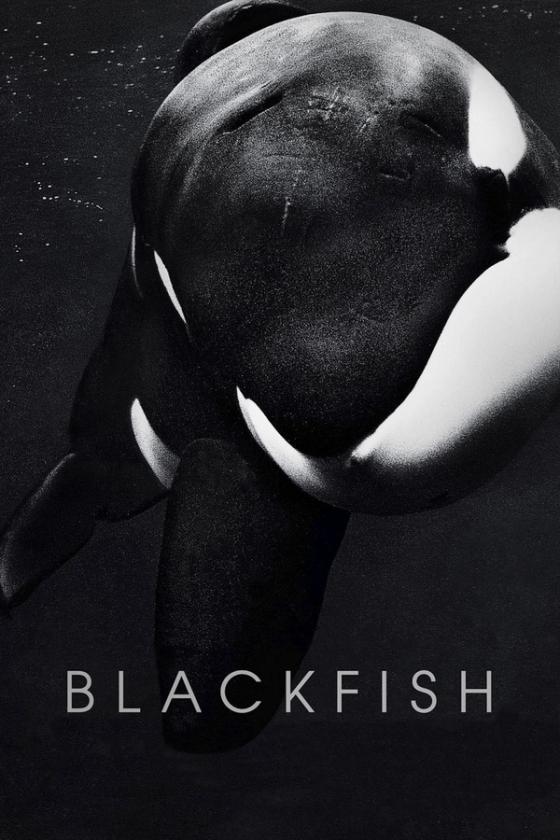 Blackfish poster