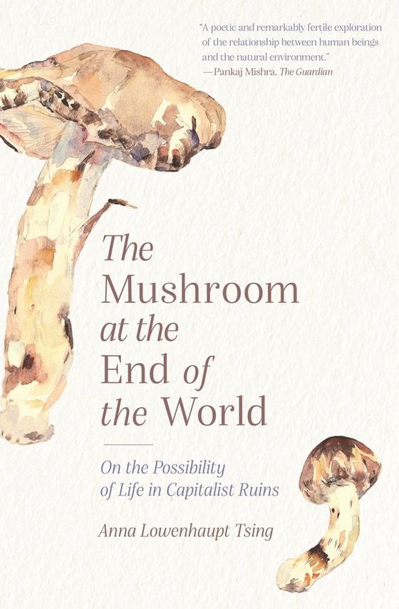 The Mushroom at the End of the World: On the Possibility of Life in Capitalist Ruins cover
