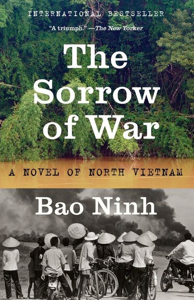 The Sorrow of War cover