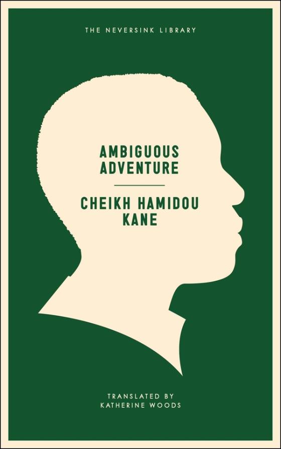 Ambiguous Adventure cover