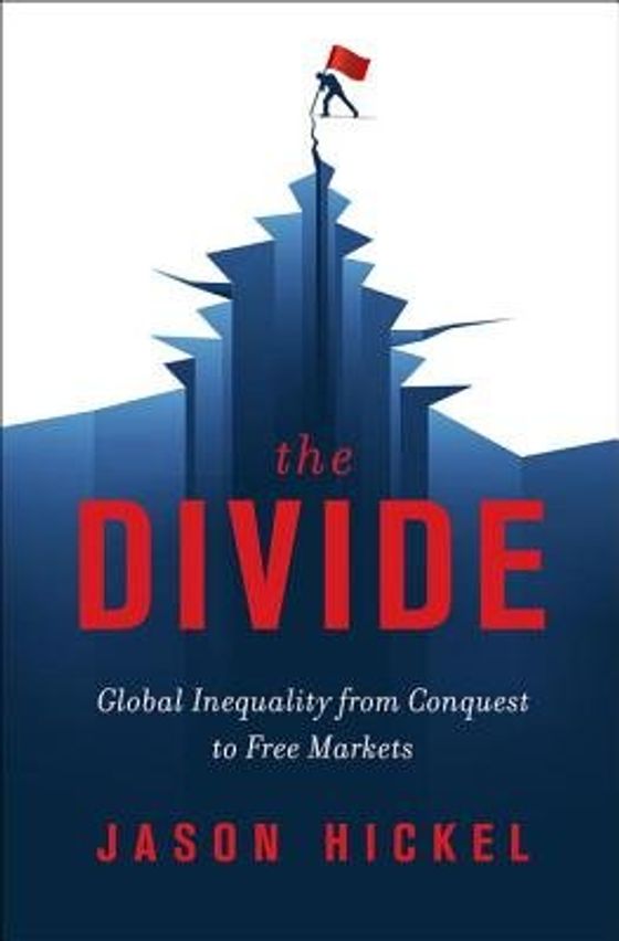 The Divide: A Brief Guide to Global Inequality and Its Solutions cover
