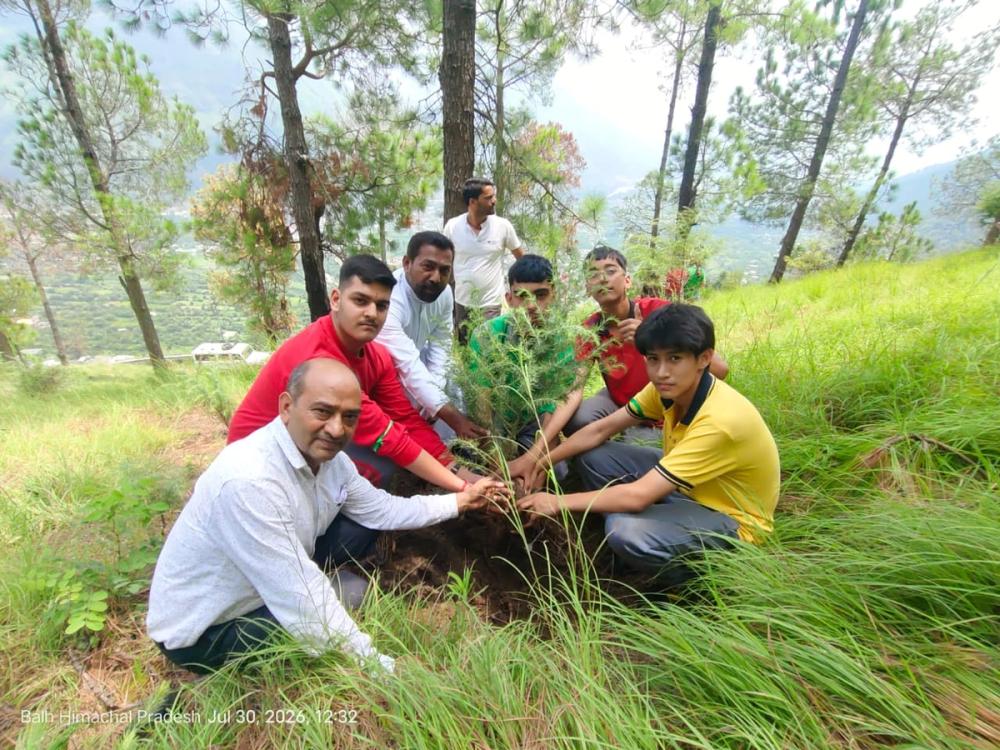 Eco-volunteers planting the sapling of Deodar Cedar meaning “Wood of the GOD”