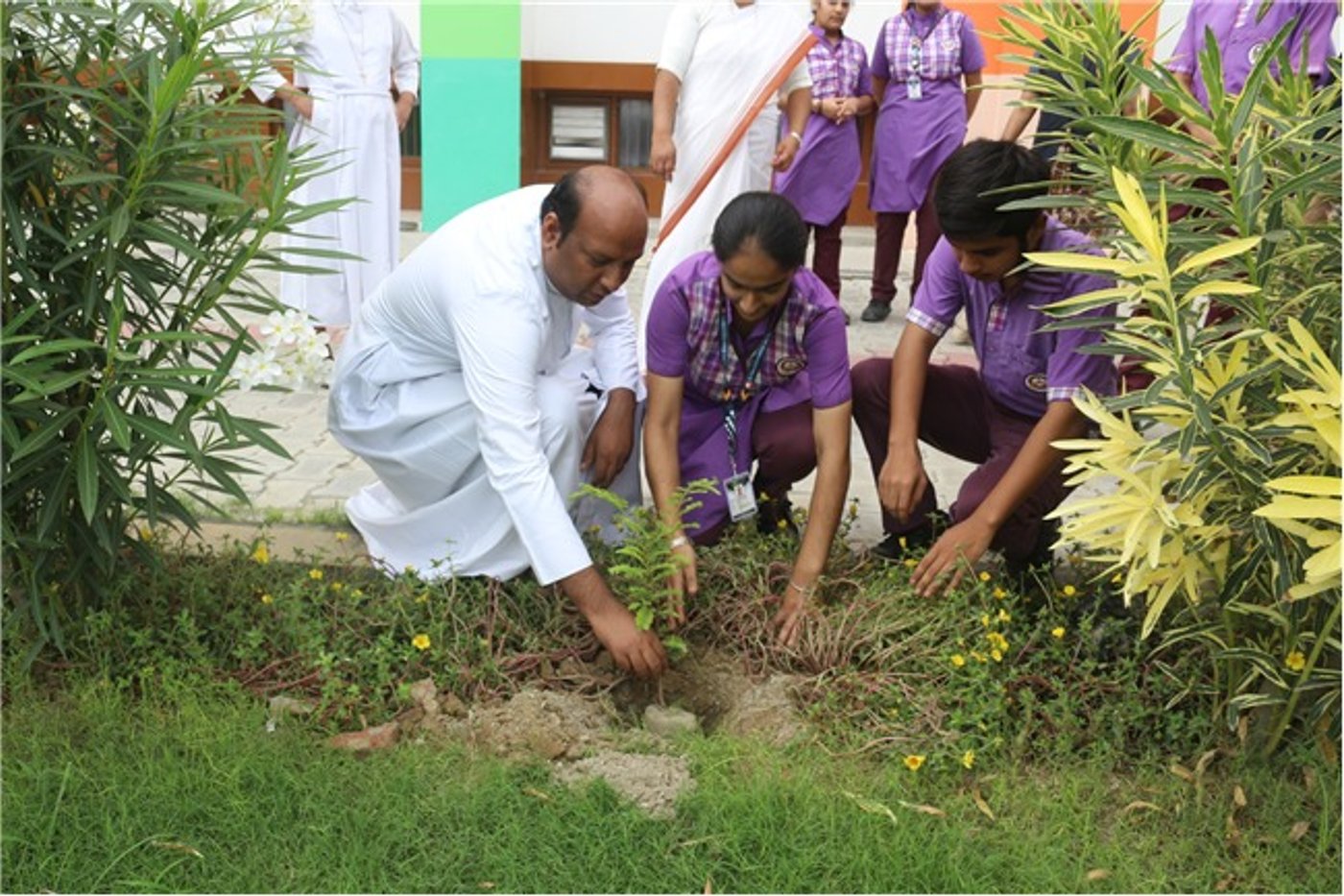 Planting numerous saplings across the school campus