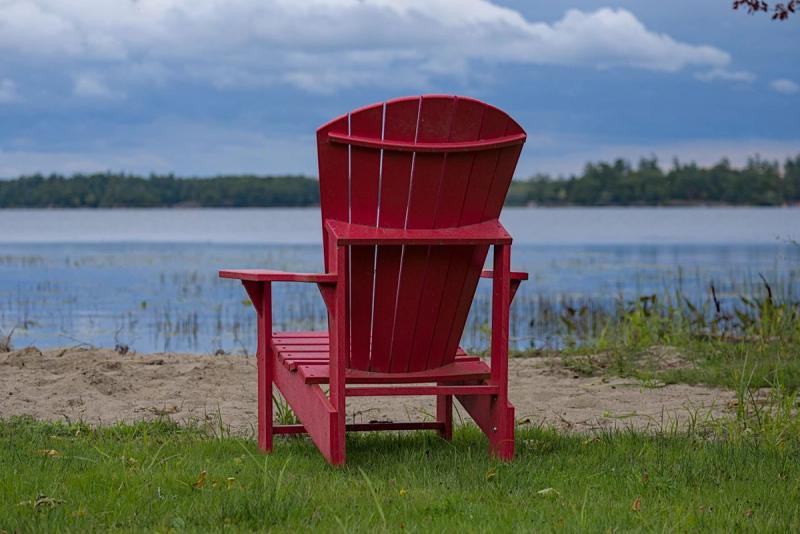 New Canadians Cover Image