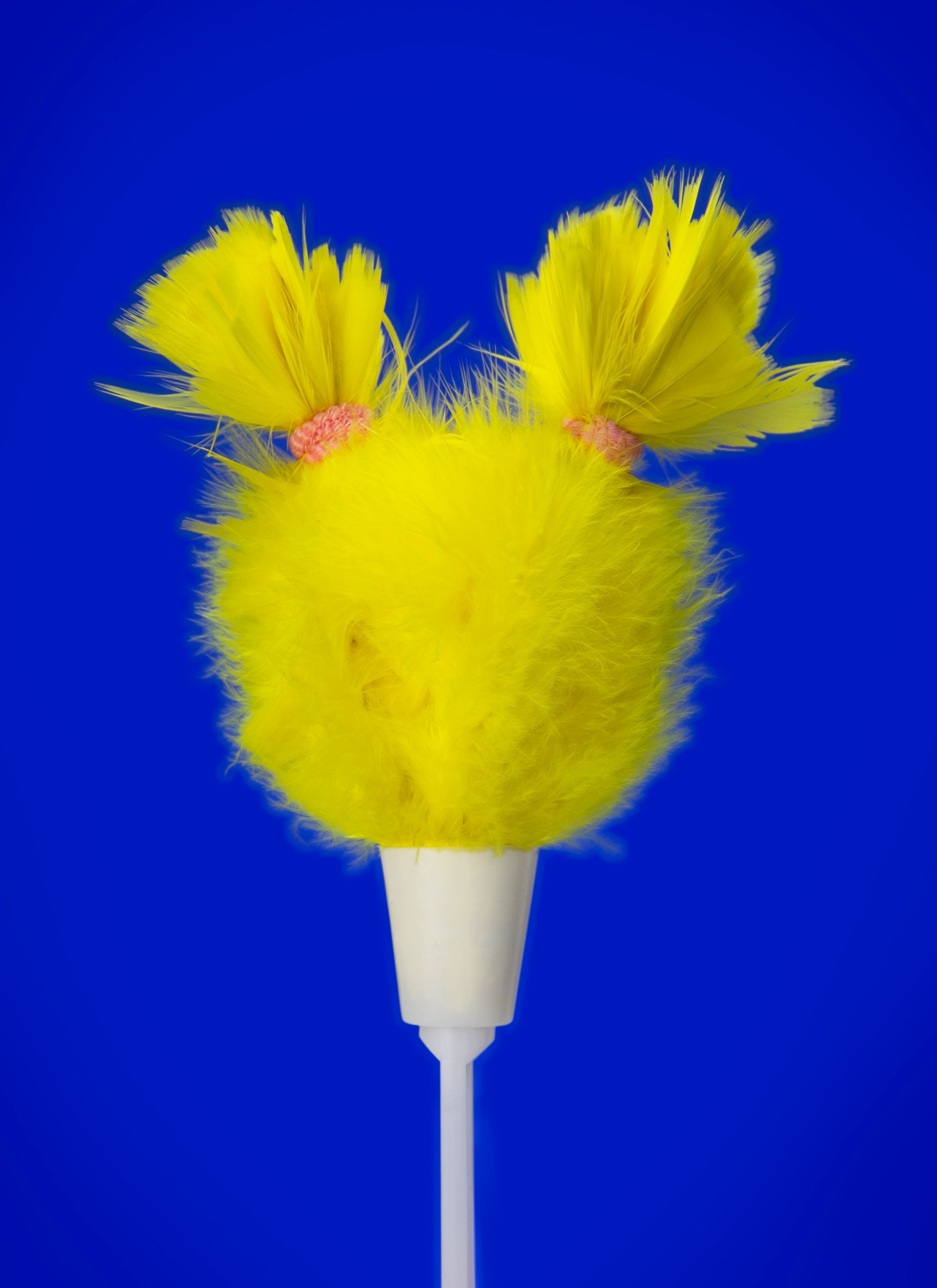 A small yellow feather duster wearing its feathers in two pigtails.