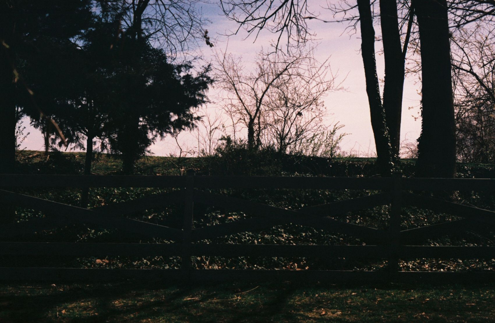 35mm film photograph of a wooden fence. Behind the fence rises a small hill with scraggly trees and bushes.