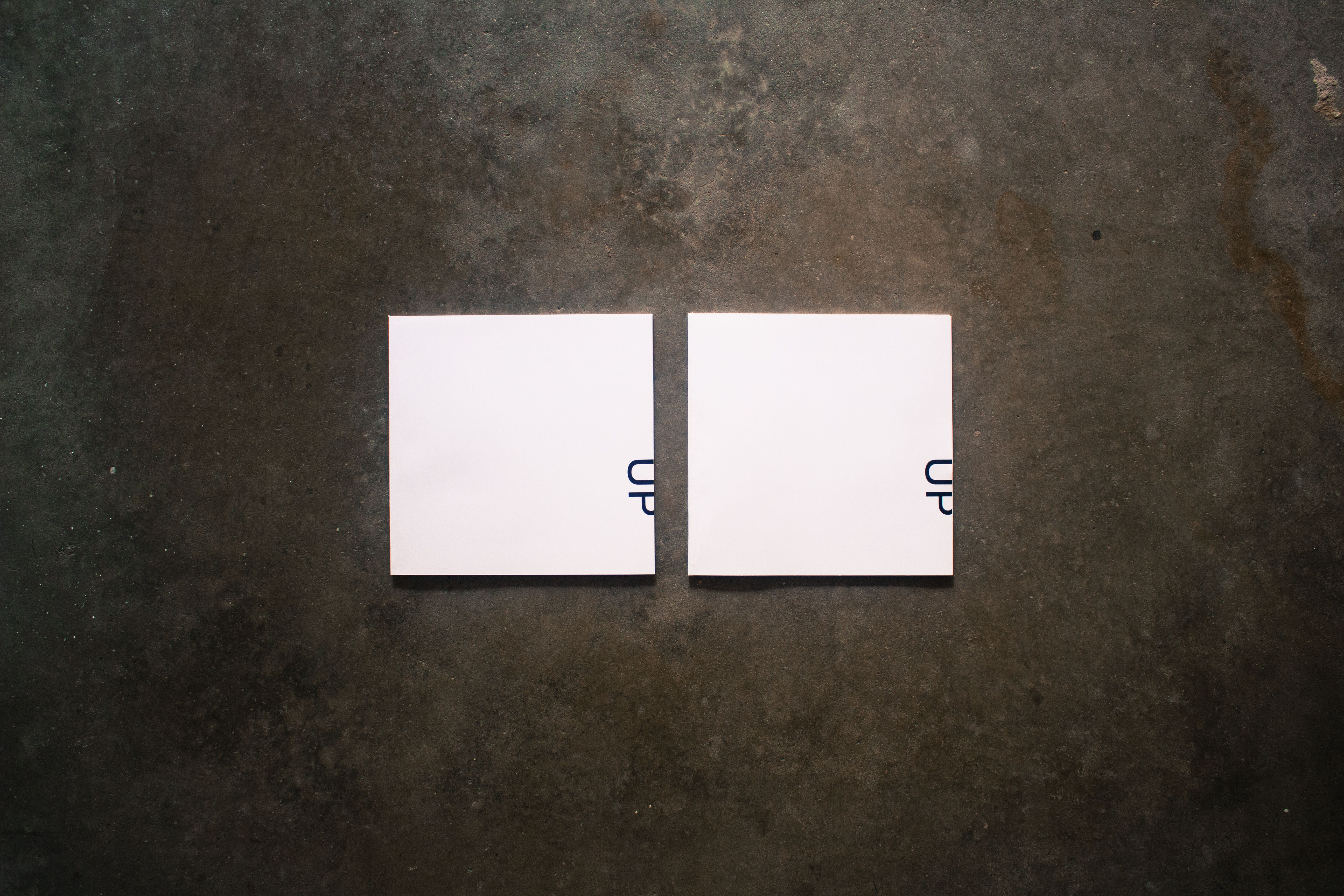 Two books on a concrete background. The covers are square, about 11 inches by 11 inches. The covers are white paper. The title of the book, UP, is printed in simple black letters, rotated sideways.