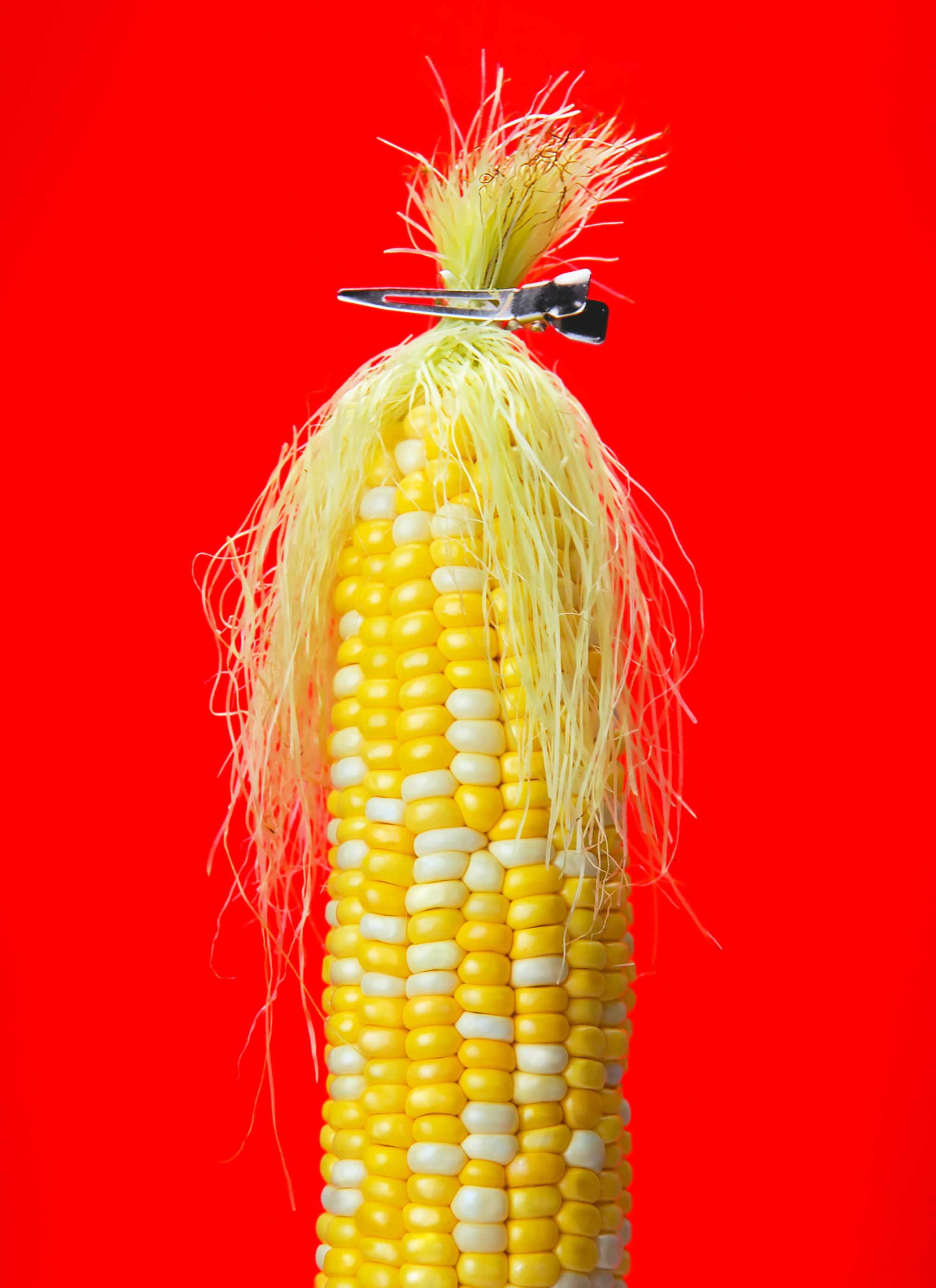 An ear of corn with its silk held up by a hair clip like messy hair.