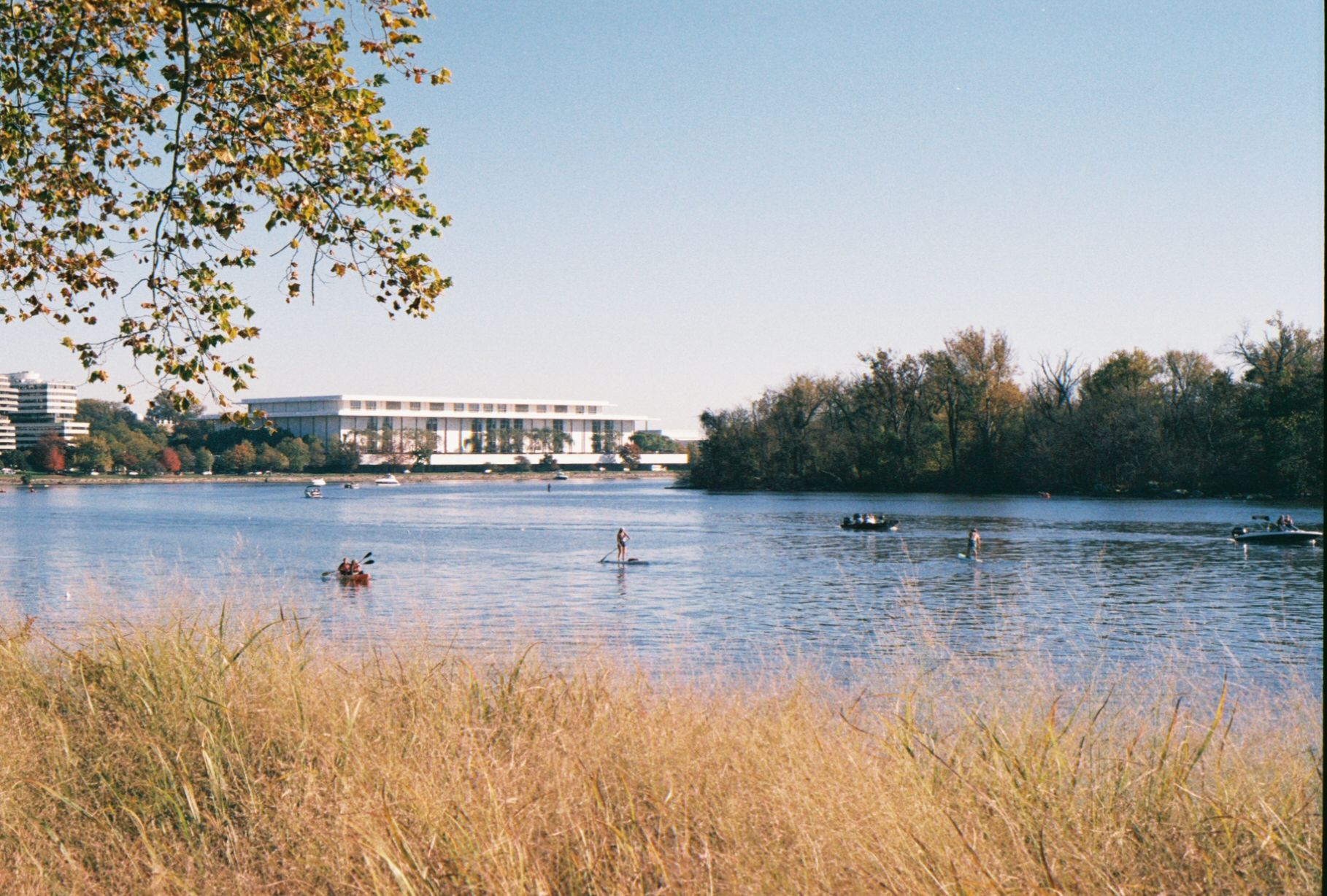 The Potomac River in autumn. The grasses are yellow. Paddlers and kayakers enjoy the river. Roosevelt Island and the Kennedy Center are visible in the background.