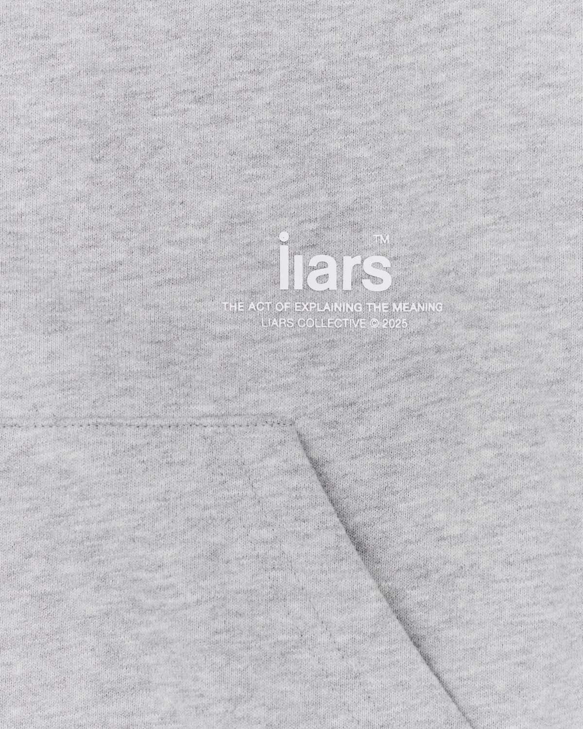 Zip-Hoodie ‘Text Hood’ Gray